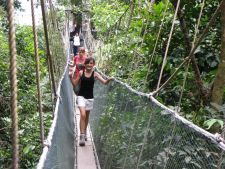 poring_canopy_walkway-min.jpg