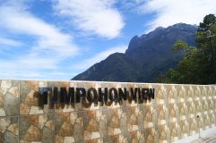 timpohon_view-min.jpg