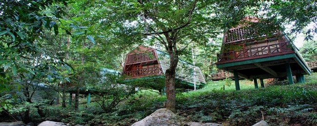 tabin wildlife resort banner