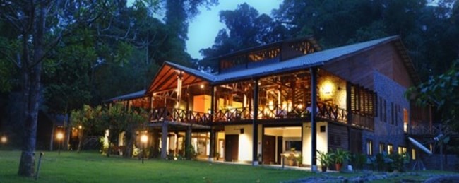 4d3n danum valley banner